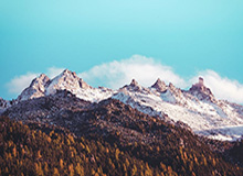 开云集团平台-恩比德膝盖伤病细节曝光 大帝或缺席东部半决赛？